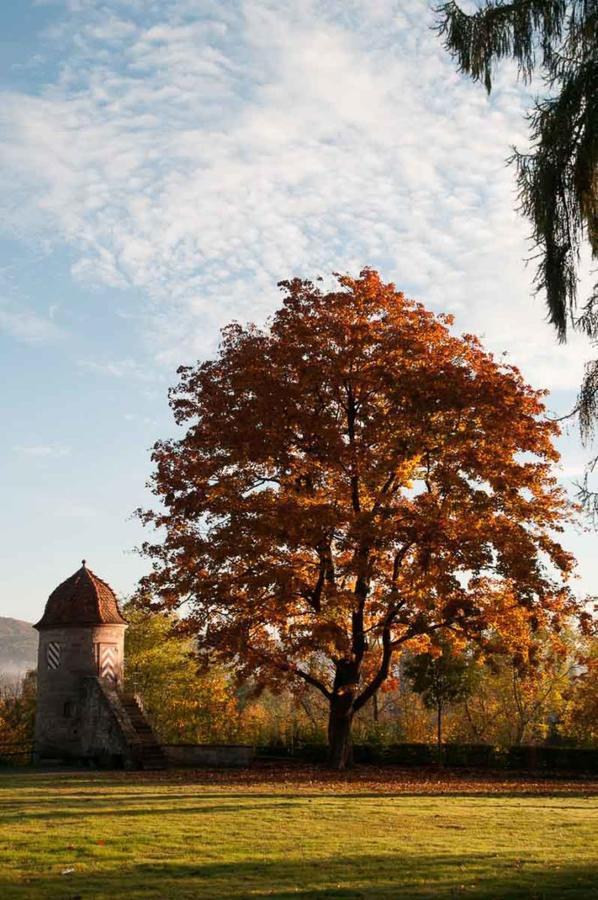 Zimmervermietung Vock Eschwege Luaran gambar